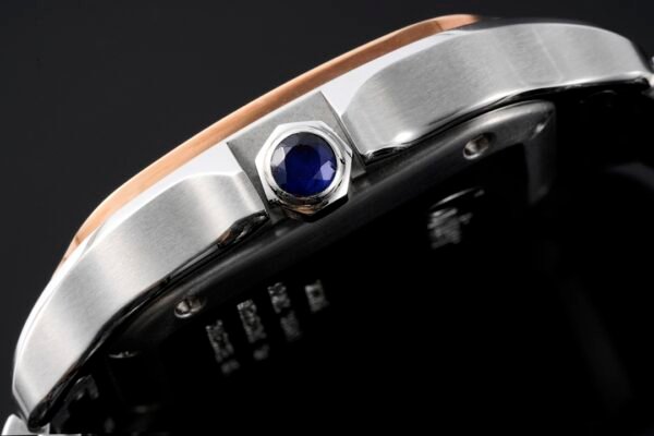 CAITIER  SANTOS DE CAITIER