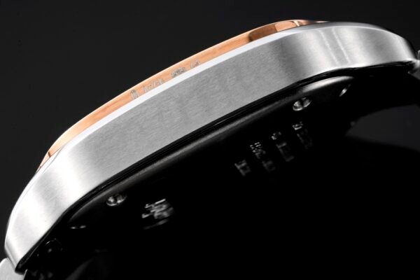 CAITIER  SANTOS DE CAITIER