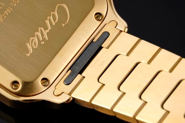 CAITIER  SANTOS DE CAITIER