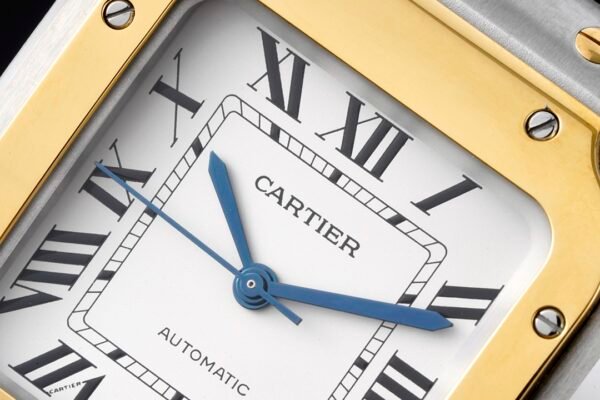 CAITIER  SANTOS DE CAITIER