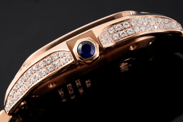 20210319_i1616084020_1433_2.jpg CAITIER SANTOS DE CAITIER