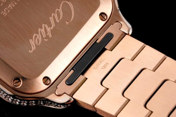 20210319_i1616084020_3998_5.jpg CAITIER SANTOS DE CAITIER