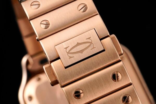 20210319_i1616084020_4143_7.jpg CAITIER SANTOS DE CAITIER