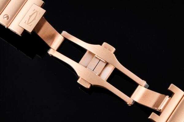 20210319_i1616084020_9594_8.jpg CAITIER SANTOS DE CAITIER