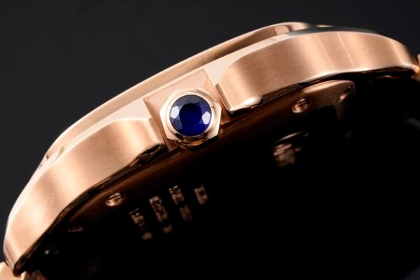 20210319_i1616084107_9163_2.jpg CAITIER SANTOS DE CAITIER