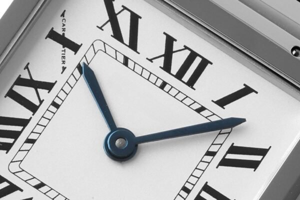 CAITIER  PANTHERE DE CAITIER