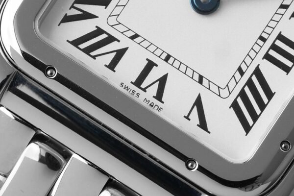 CAITIER  PANTHERE DE CAITIER