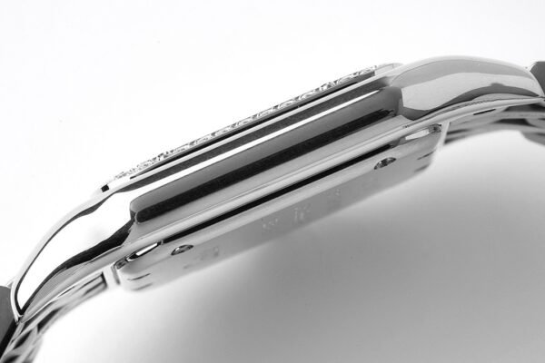 CAITIER  PANTHERE DE CAITIER