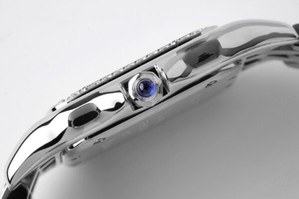 CAITIER  PANTHERE DE CAITIER