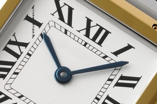 IMG_4120_副本 CAITIER PANTHERE DE CAITIER