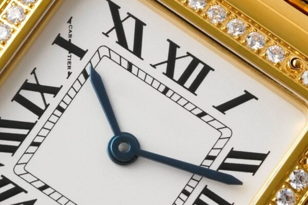 IMG_4138_副本 CAITIER PANTHERE DE CAITIER