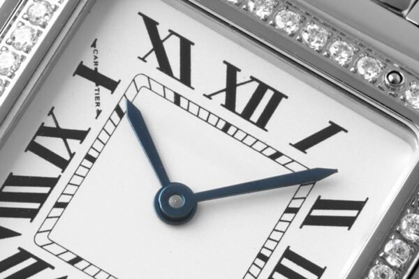 IMG_4147_副本 CAITIER PANTHERE DE CAITIER