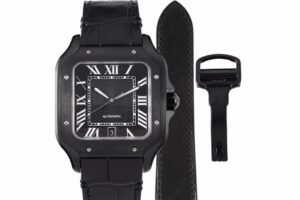 CAITIER  SANTOS DE CAITIER