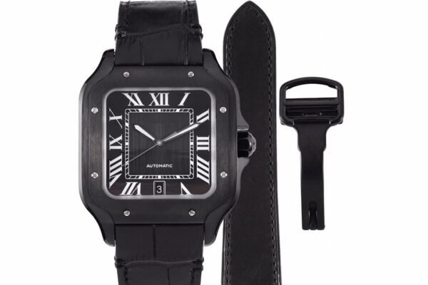 CAITIER  SANTOS DE CAITIER