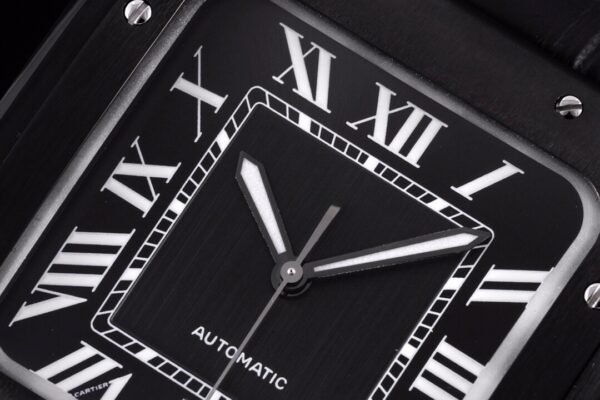 CAITIER  SANTOS DE CAITIER