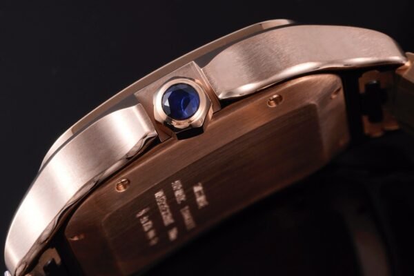 CAITIER  SANTOS DE CAITIER