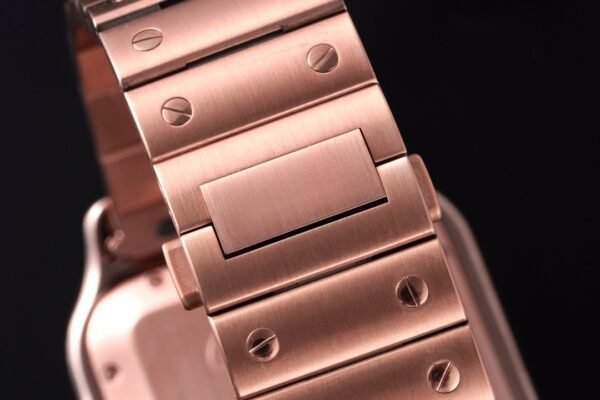 CAITIER  SANTOS DE CAITIER