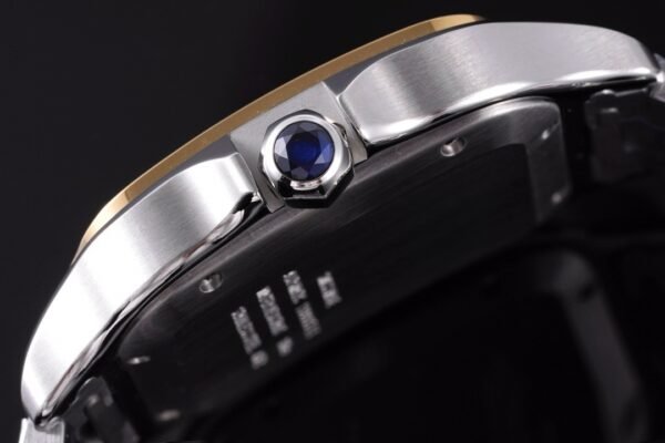 CAITIER  SANTOS DE CAITIER