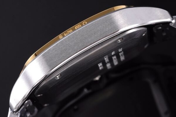 CAITIER  SANTOS DE CAITIER