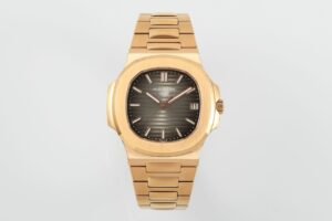 Patek Philippe Nautilus 5711/1R-001 Dark brown gradient Dial PPF