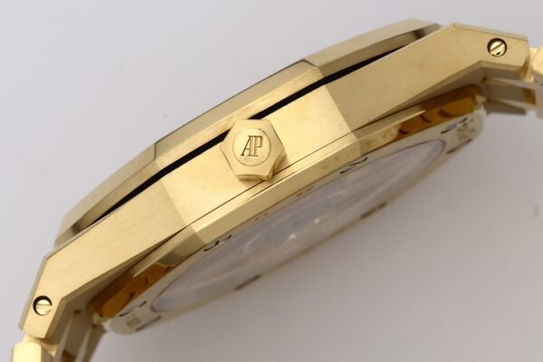 img_5ee17706_20250822_i1755846900_5558_1.jpg Audemars Piguet ROYAL OAK 16204BA