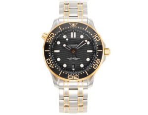 Omega Seamaster Diver 300M 210.20.42.20.01.002 VSF