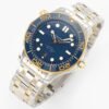 Omega Seamaster Diver 300M 210.20.42.20.03.001 VSF