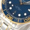 Omega Seamaster Diver 300M 210.20.42.20.03.001 VSF