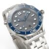 Omega Seamaster Diver 300M 210.30.42.20.06.001 VSF