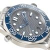 Omega Seamaster Diver 300M 210.30.42.20.06.001 VSF