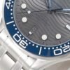 Omega Seamaster Diver 300M 210.30.42.20.06.001 VSF