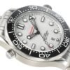 Omega Seamaster Diver 300M 210.30.42.20.04.001  VSF