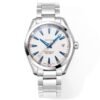 Omega Seamaster Aqua Terra 150M 231.10.42.21.02.002 VSF