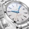 Omega Seamaster Aqua Terra 150M 231.10.42.21.02.002 VSF
