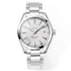Omega Seamaster Aqua Terra 150M 231.10.42.21.02.003 VSF