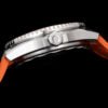 Omega Seamaster Planet Ocean 600M 42mm Collection