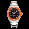 Omega Seamaster Planet Ocean 600M 42mm Collection