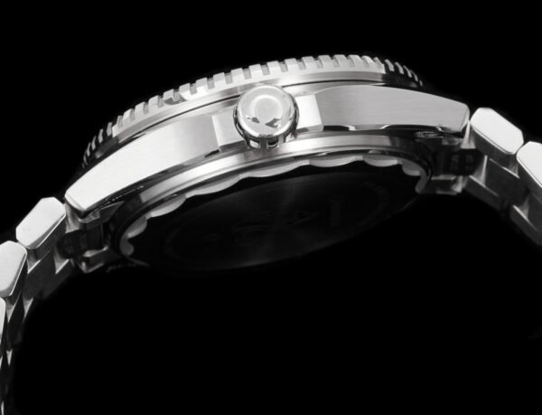 Omega Seamaster Planet Ocean 600M 42mm Collection