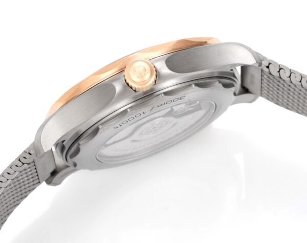 Omega Seamaster Diver 300M 210.90.42.20.10.001 ORF