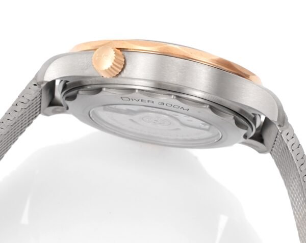 Omega Seamaster Diver 300M 210.90.42.20.10.001 ORF