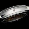 Patek Philippe  6102P-001 CELESTIAL AIF