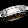 Patek Philippe  6104P-010 CELESTIAL Diamond Bezel AIF