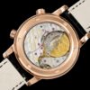 Patek Philippe  6104R-001 CELESTIAL Diamond Bezel AIF