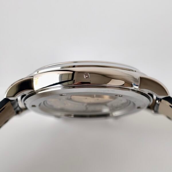 Patek Philippe  6102P-001 CELESTIAL PPF