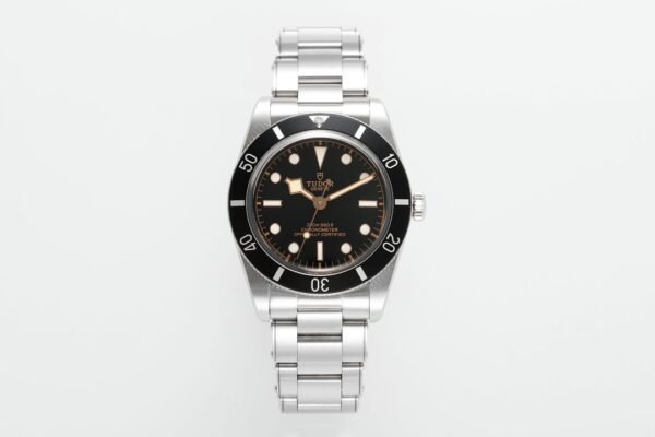 ZF Tudor Black Bay 54 M79000 Watch