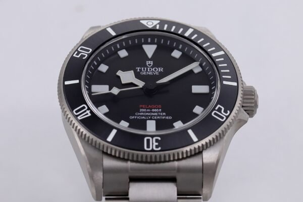 ZF Tudor Pelagos Matte M25407N Titanium 39 Watch