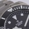 ZF Tudor Pelagos Matte M25407N Titanium 39 Watch