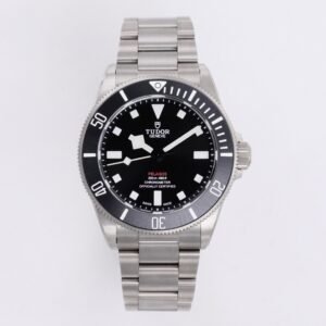 ZF Tudor Pelagos Matte M25407N Titanium 39 Watch
